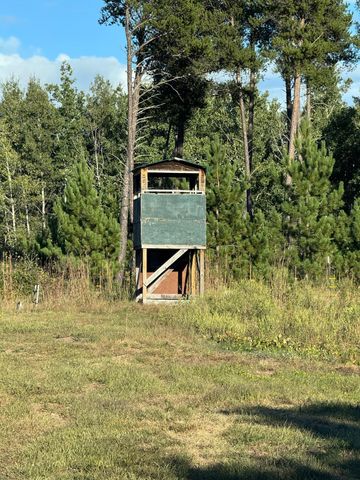 25333 196th Street, Bullard Twp, MN 56479