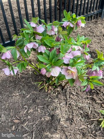 42459 BELMONT GLEN PL, Ashburn, VA 20148