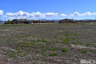 1786 Monte Vista, Minden, NV 89423