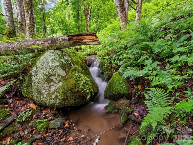 1210 Blevins Branch Road, Bakersville, NC 28705