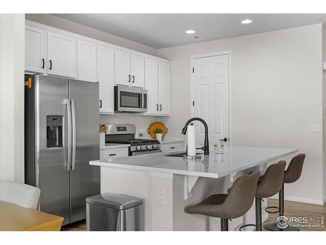 1049 Urial Dr, Severance, CO 80550