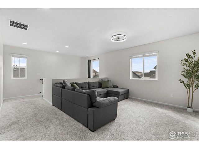 1049 Urial Dr, Severance, CO 80550