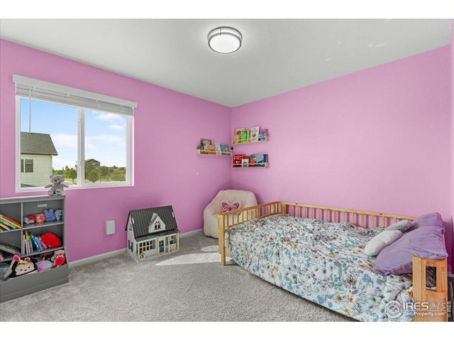 1049 Urial Dr, Severance, CO 80550