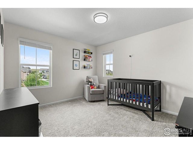 1049 Urial Dr, Severance, CO 80550