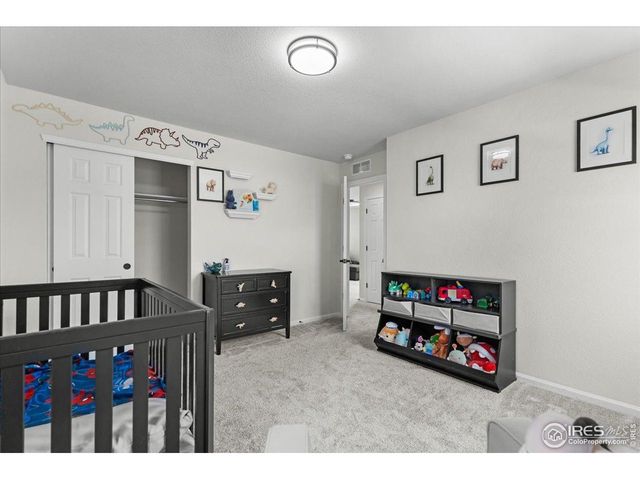 1049 Urial Dr, Severance, CO 80550