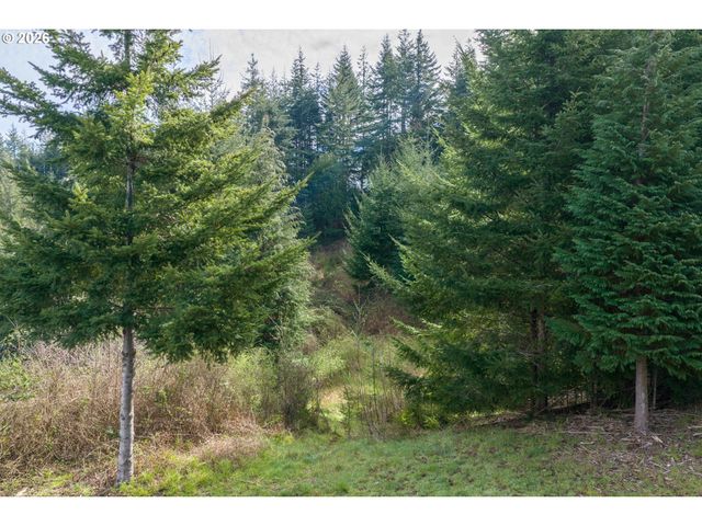 93549 PATTERSON Ln, Coos Bay, OR 97420