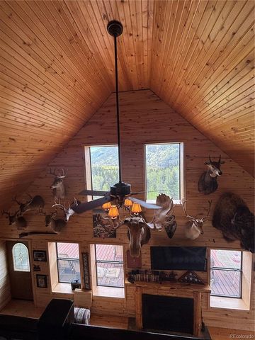 1113 Spring Street, Jasper, CO 81144