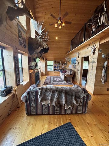 1113 Spring Street, Jasper, CO 81144