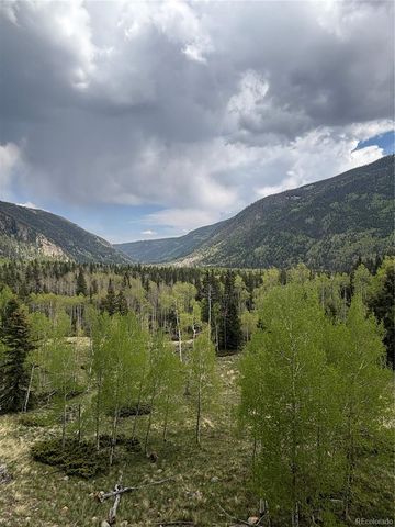 1113 Spring Street, Jasper, CO 81144
