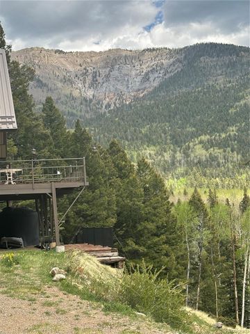 1113 Spring Street, Jasper, CO 81144