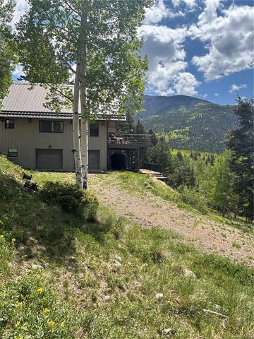 1113 Spring Street, Jasper, CO 81144