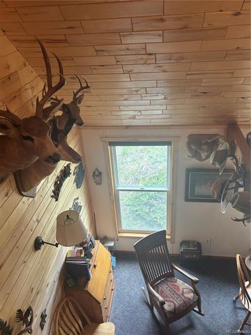 1113 Spring Street, Jasper, CO 81144