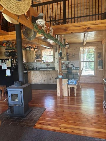 1113 Spring Street, Jasper, CO 81144