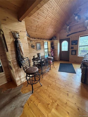 1113 Spring Street, Jasper, CO 81144