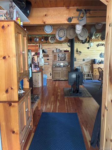 1113 Spring Street, Jasper, CO 81144