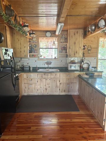 1113 Spring Street, Jasper, CO 81144