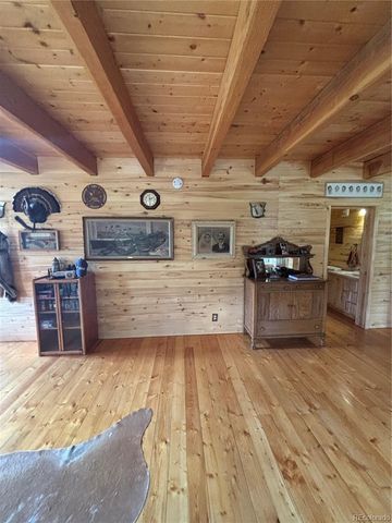 1113 Spring Street, Jasper, CO 81144