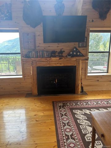 1113 Spring Street, Jasper, CO 81144