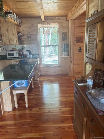 1113 Spring Street, Jasper, CO 81144