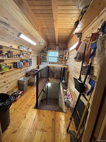 1113 Spring Street, Jasper, CO 81144