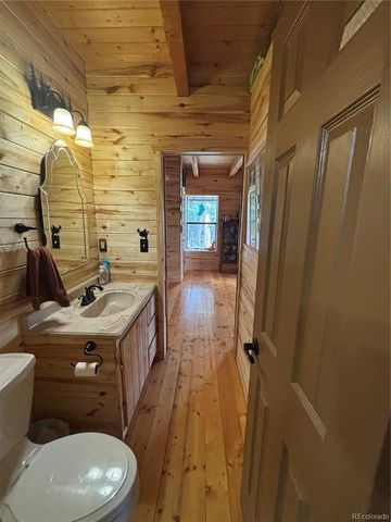 1113 Spring Street, Jasper, CO 81144