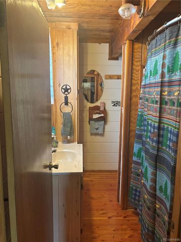 1113 Spring Street, Jasper, CO 81144