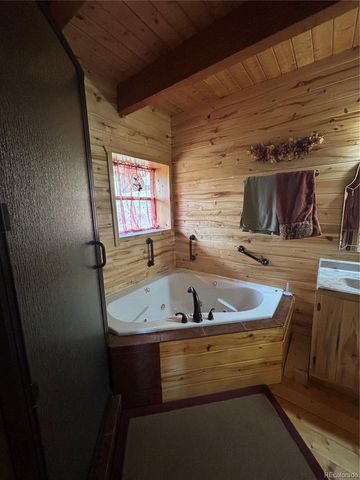 1113 Spring Street, Jasper, CO 81144