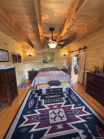 1113 Spring Street, Jasper, CO 81144