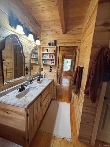 1113 Spring Street, Jasper, CO 81144