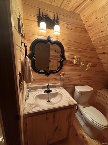 1113 Spring Street, Jasper, CO 81144