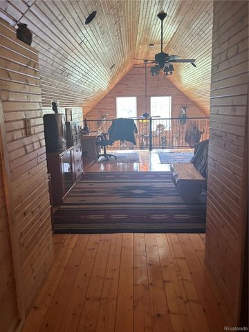 1113 Spring Street, Jasper, CO 81144
