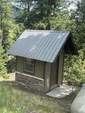 1113 Spring Street, Jasper, CO 81144