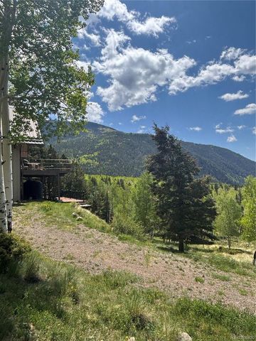 1113 Spring Street, Jasper, CO 81144