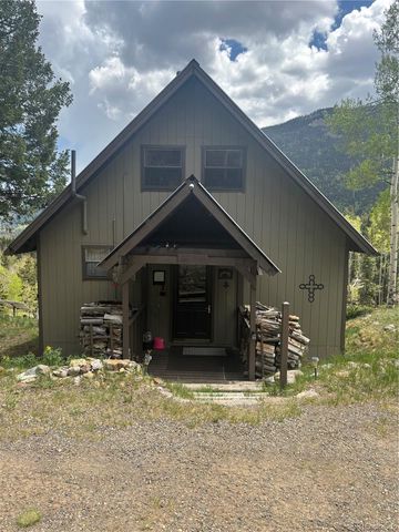 1113 Spring Street, Jasper, CO 81144