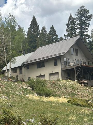 1113 Spring Street, Jasper, CO 81144