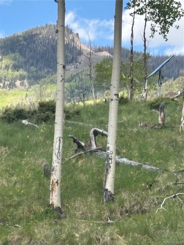 1113 Spring Street, Jasper, CO 81144