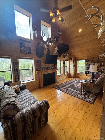 1113 Spring Street, Jasper, CO 81144