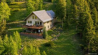 1113 Spring Street, Jasper, CO 81144