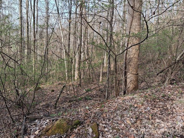TBD Bel Air Road 18-19, 21, 23,27-28,31-33, Cullowhee, NC 28723