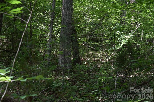 TBD Bel Air Road 18-19, 21, 23,27-28,31-33, Cullowhee, NC 28723