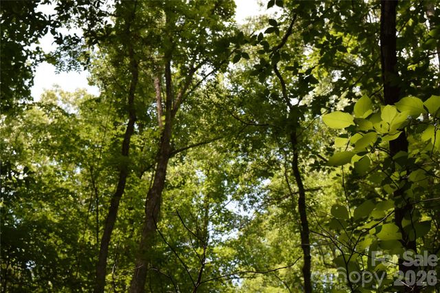 TBD Bel Air Road 18-19, 21, 23,27-28,31-33, Cullowhee, NC 28723