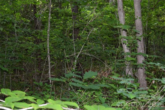 TBD Bel Air Road 18-19, 21, 23,27-28,31-33, Cullowhee, NC 28723
