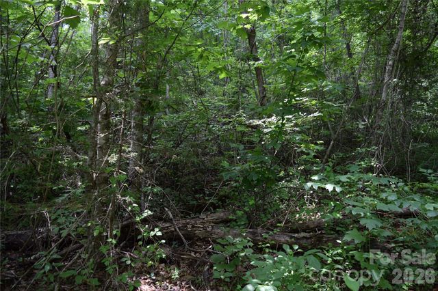 TBD Bel Air Road 18-19, 21, 23,27-28,31-33, Cullowhee, NC 28723