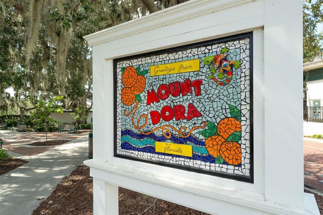 110 N TREMAIN STREET 209, Mount Dora, FL 32757