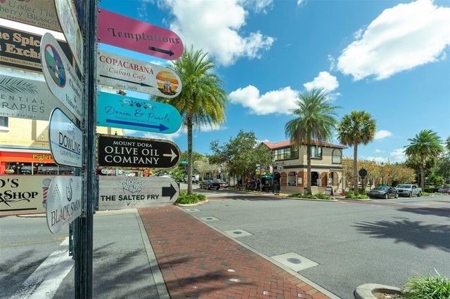 110 N TREMAIN STREET 209, Mount Dora, FL 32757