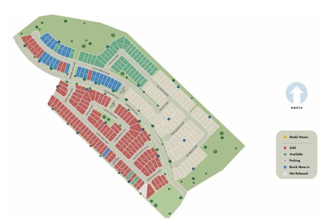 225 Raine Manor Court, Montgomery, TX 77316