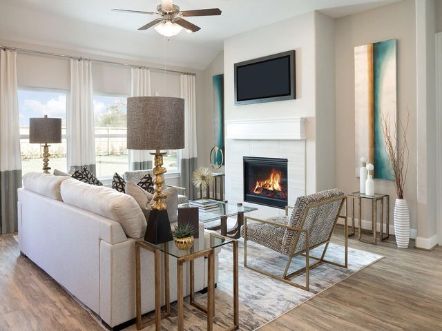 225 Raine Manor Court, Montgomery, TX 77316