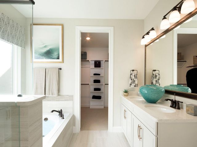 225 Raine Manor Court, Montgomery, TX 77316