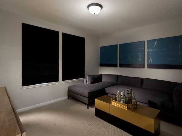 225 Raine Manor Court, Montgomery, TX 77316