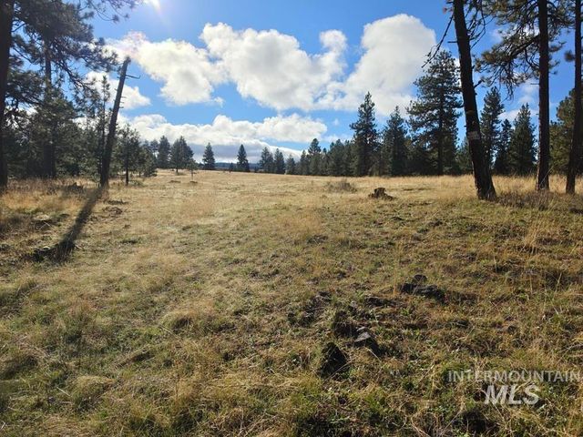 TBD Joseph Plains Rd, White Bird, ID 83554 property photo